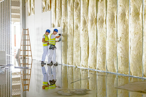Best Geographic-Specific Insulation Services in Amery, WI